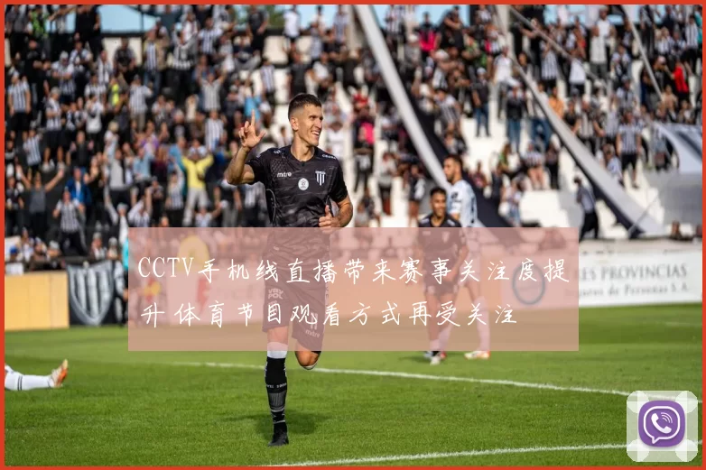 CCTV手机线直播带来赛事关注度提升 体育节目观看方式再受关注