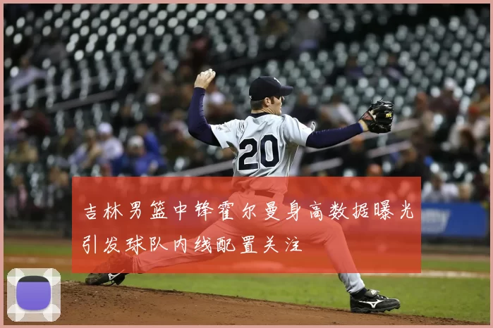 吉林男篮中锋霍尔曼身高数据曝光引发球队内线配置关注