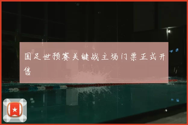 国足世预赛关键战主场门票正式开售