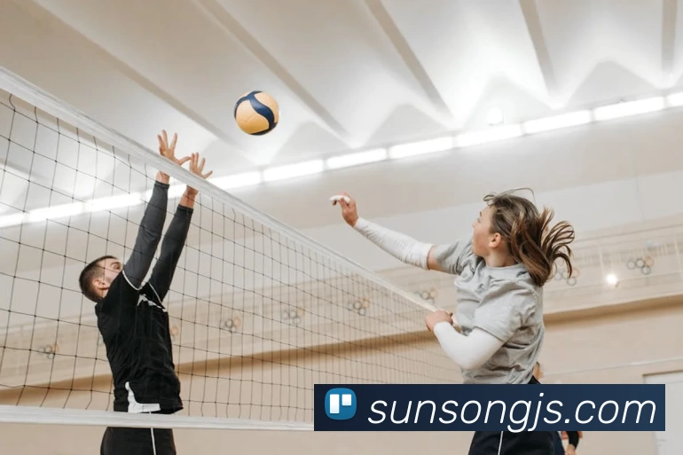 星空体育在线官网入口服务体系